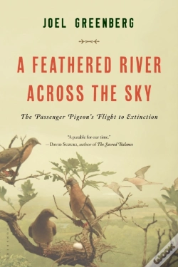 Capa do artigo A Feathered River Across The Sky