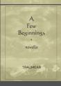 A Few Beginnings - Preview