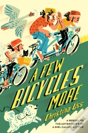 Capa do artigo A Few Bicycles More