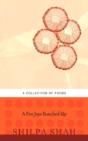 A Few Joys Bunched Up - Preview