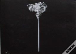 A Few Model Palm Trees