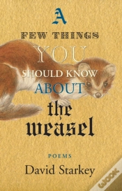 Capa do artigo A Few Things You Should Know About The Weasel