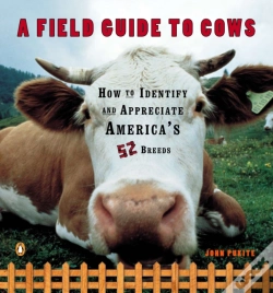 Capa do artigo A Field Guide To Cows