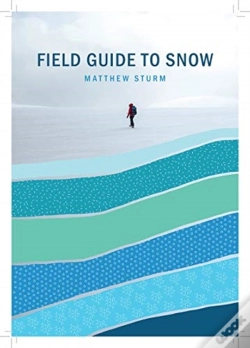 Capa do artigo A Field Guide To Snow