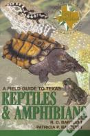 A Field Guide To Texas Reptiles And Amphibians