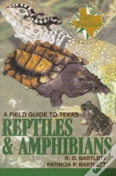 A Field Guide To Texas Reptiles And Amphibians