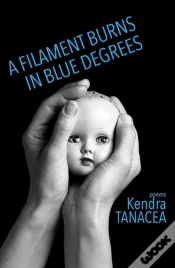 Capa do artigo A Filament Burns In Blue Degrees
