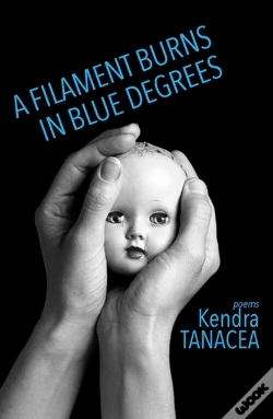 Capa do artigo A Filament Burns In Blue Degrees