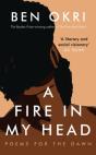 A Fire In My Head - Preview