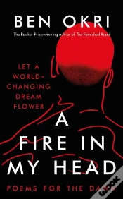 Capa do artigo A Fire In My Head