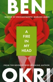 Capa do artigo A Fire In My Head