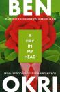 A Fire In My Head - Preview
