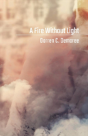 A Fire Without Light - Preview