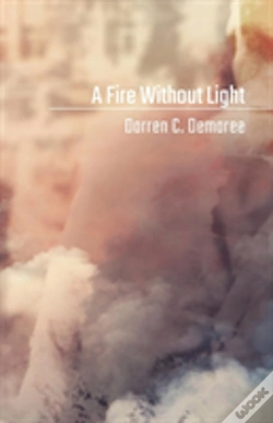 Capa do artigo A Fire Without Light