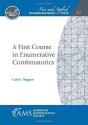 A First Course In Enumerative Combinatorics - Preview