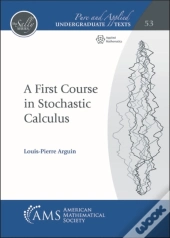 A First Course In Stochastic Calculus