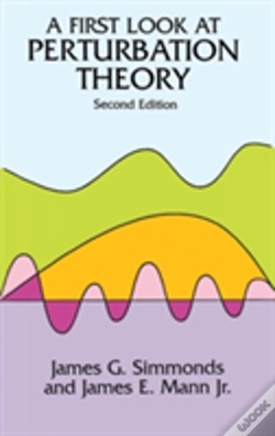 Capa do artigo A First Look At Perturbation Theory