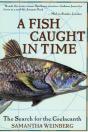A Fish Caught In Time - Preview
