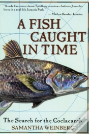 Capa do artigo A Fish Caught In Time