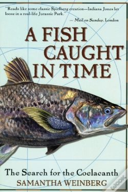 Capa do artigo A Fish Caught In Time