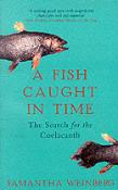 A Fish Caught In Time