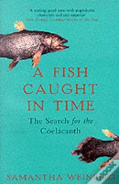 Capa do artigo A Fish Caught In Time