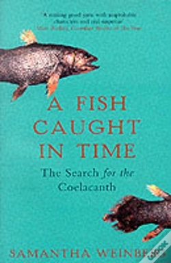 Capa do artigo A Fish Caught In Time