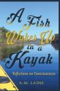 A Fish Wakes Up In A Kayak - Preview
