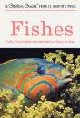A Fishes - Preview