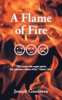 A Flame Of Fire - Preview