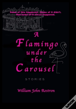 Capa do artigo A Flamingo Under The Carousel