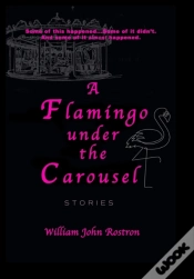 Capa do artigo A Flamingo Under The Carousel
