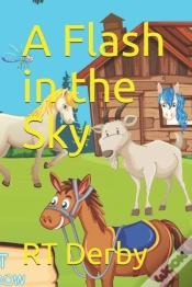 Capa do artigo A Flash In The Sky