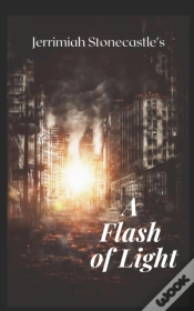 Capa do artigo A Flash Of Light