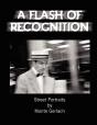 A Flash Of Recognition - Preview