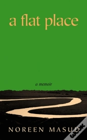 Capa do artigo A Flat Place