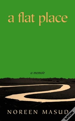 Capa do artigo A Flat Place