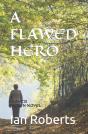 A Flawed Hero - Preview