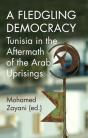 A Fledgling Democracy - Preview