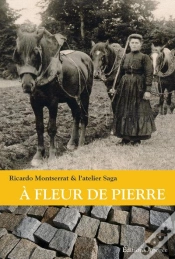 Capa do artigo A Fleur De Pierre