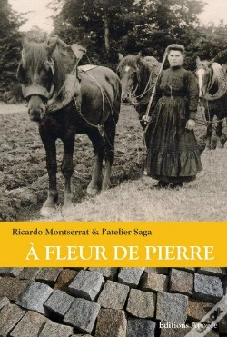 Capa do artigo A Fleur De Pierre