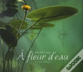 À Fleur D'Eau