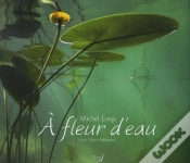 Capa do artigo À Fleur D