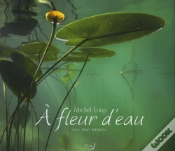 Capa do artigo À Fleur D'Eau