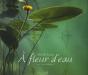 À Fleur D'Eau - Preview