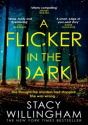 A Flicker In The Dark - Preview