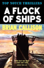 A Flock Of Ships - Preview