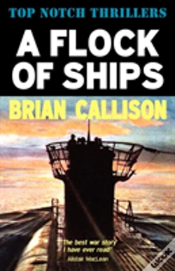 Capa do artigo A Flock Of Ships