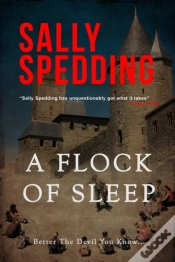 Capa do artigo A Flock Of Sleep