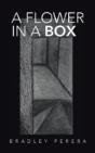 A Flower In A Box - Preview